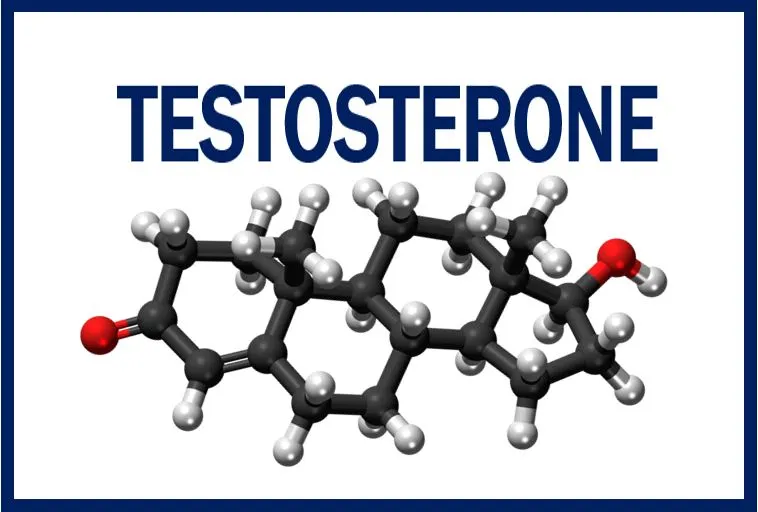 Testosterone Injections: The Key to Enhancing Your Quality of Life — Endless Vitality TRT & peptide clinic, Tempe AZ