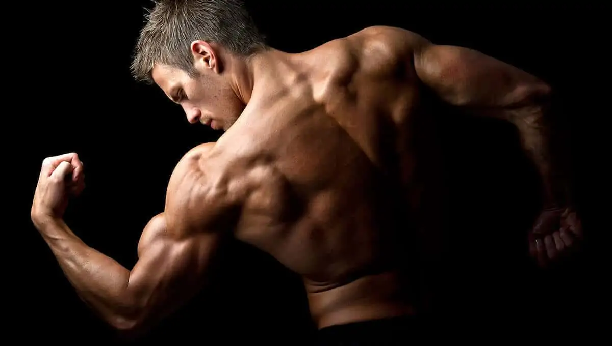 Testosterone Replacement Therapy Results: What to Expect — Endless Vitality TRT & peptide clinic, Tempe AZ