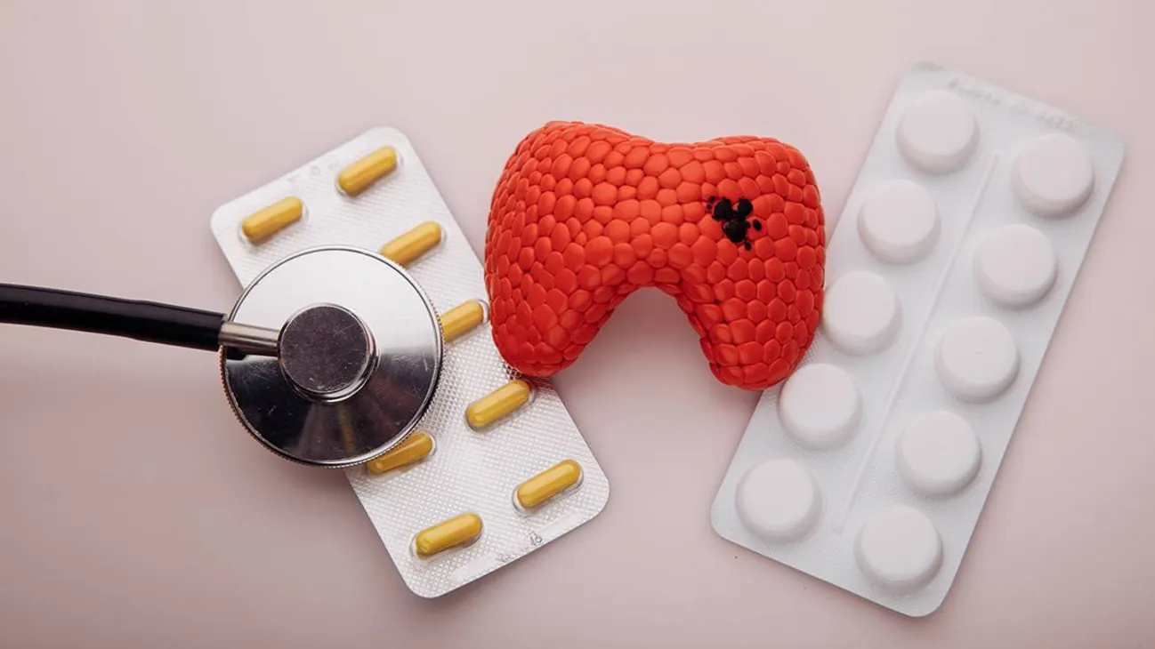 Thyroid Medications for Weight Management — Endless Vitality TRT & peptide clinic, Tempe AZ