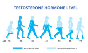 testosterone levels decrease with age